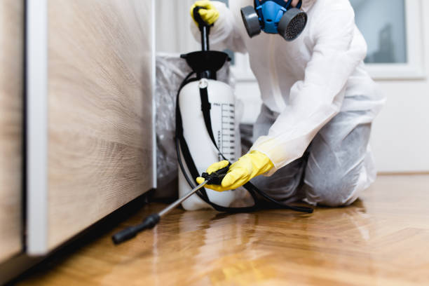  Milton, WV Pest Control Pros