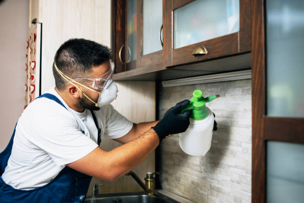 Best Best Pest Control Companies  in Milton, WV