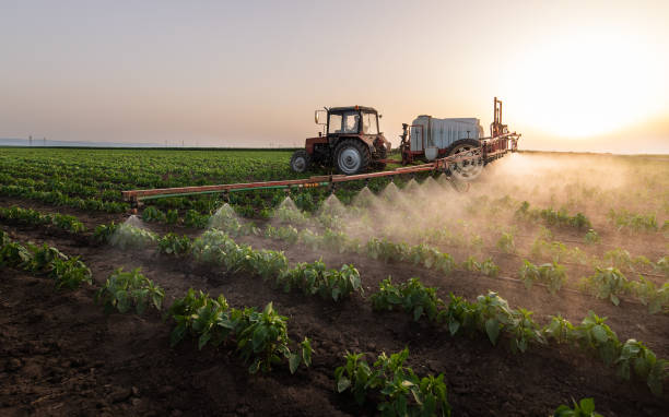 Best Mosquito Control Services  in Milton, WV