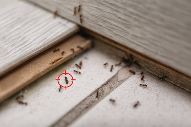 Pest Control Cost in Milton, WV