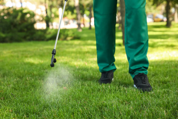 Best Residential Pest Control  in Milton, WV