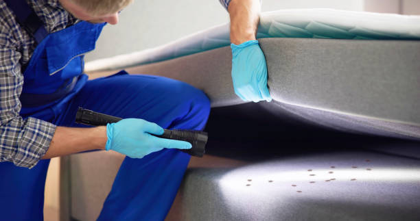Best Pest Inspection Near Me  in Milton, WV