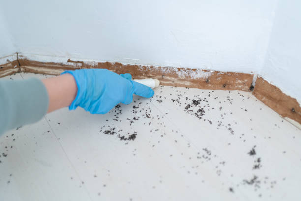 Best Local Pest Control Services  in Milton, WV