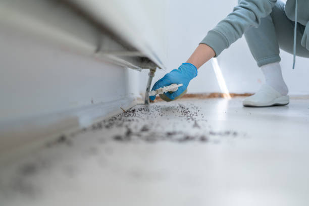 Best Pest Removal Services  in Milton, WV