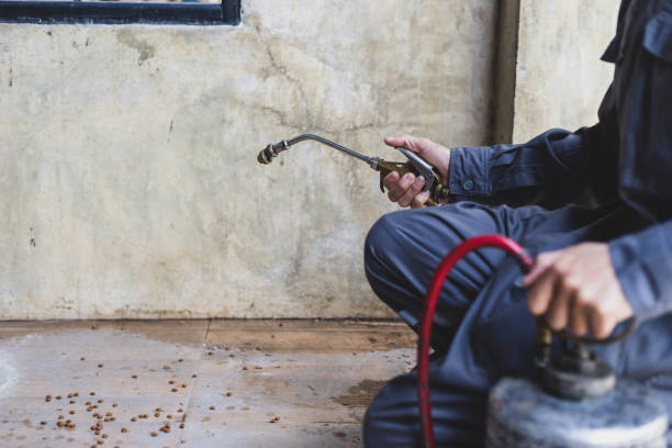 Professional Pest Control in Milton, WV