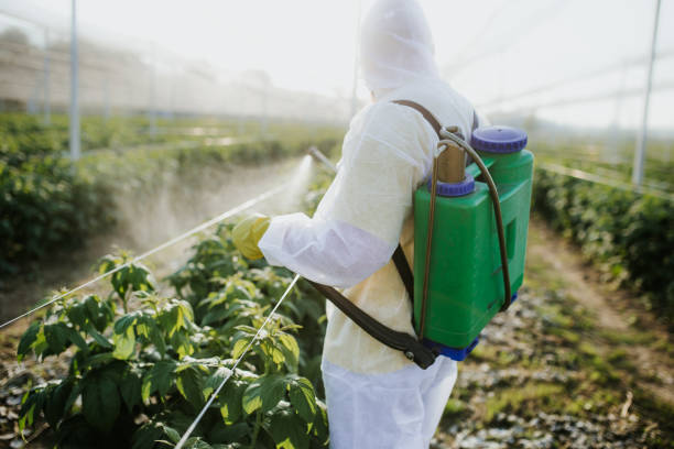 Best Flea Control Services  in Milton, WV